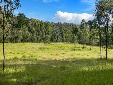 Farm For Sale - NSW - Duck Creek - 2469 - Sizeable Grazing Opportunity  (Image 2)