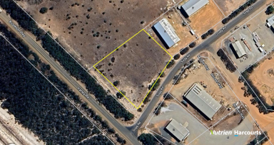 Farm For Sale - WA - Lake King - 6356 - Commercial Block  (Image 2)