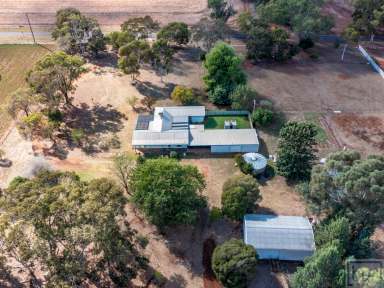 Farm Sold - NSW - Corowa - 2646 - Conveniently Located  (Image 2)