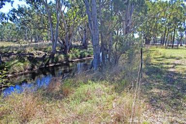 Farm For Sale - QLD - Thanes Creek - 4370 - 32 ACRES WITH BORE, POWER, CREEK FRONTAGE AND MUCH MORE!  (Image 2)