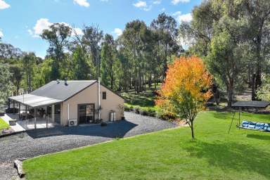 Farm Sold - VIC - Tolmie - 3723 - State Forest At Your Doorstep  (Image 2)