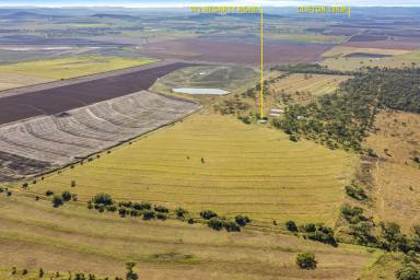 Farm For Sale - QLD - Ellangowan - 4361 - Glencoe - Where Lifestyle Opportunity Meets Agricultural Pursuits  (Image 2)