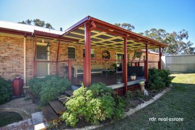 Farm For Sale - NSW - Inverell - 2360 - THIS IS LIVING! PRIVACY, ACREAGE, LOCATION  (Image 2)