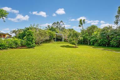 Farm For Sale - QLD - Kuranda - 4881 - Cleared Block With Shed!  (Image 2)