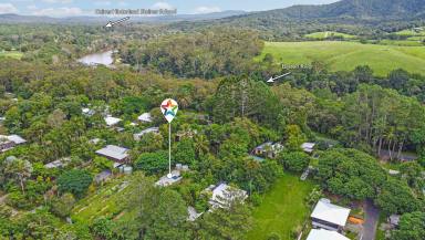 Farm For Sale - QLD - Kuranda - 4881 - Cleared Block With Shed!  (Image 2)
