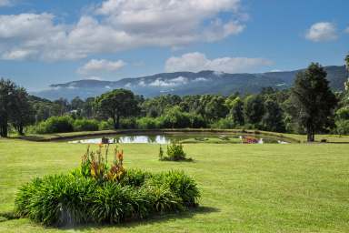 Farm For Sale - NSW - Kangaroo Valley - 2577 - Wahroonga - Your Valley Retreat  (Image 2)