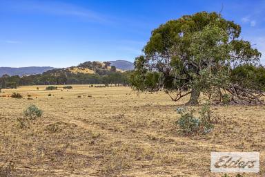 Farm For Sale - VIC - Redbank - 3477 - 20 Acres of Tranquil Country  (Image 2)