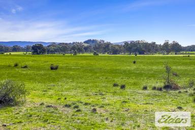 Farm For Sale - VIC - Redbank - 3477 - 20 Acres of Tranquil Country  (Image 2)