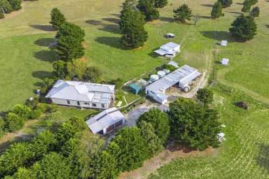 Farm Sold - VIC - Snake Valley - 3351 - Country serenity.......  (Image 2)