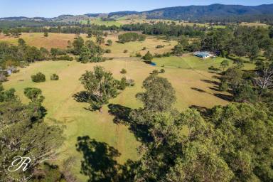 Farm For Sale - NSW - Wards River - 2422 - Small Farm - Tranquil Setting  (Image 2)