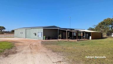 Farm For Sale - WA - Muckenburra - 6503 - Hobby Farm, Lifestyle and Investment! 31.9 acres in Prime Location  (Image 2)