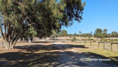 Farm For Sale - WA - Muckenburra - 6503 - Hobby Farm, Lifestyle and Investment! 31.9 acres in Prime Location  (Image 2)