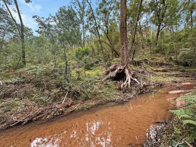 Farm Sold - NSW - Paynes Crossing - 2325 - 80 Acres of Pristine Bushland  (Image 2)