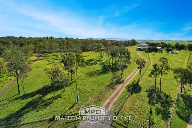 Farm For Sale - QLD - Arriga - 4880 - ULTIMATE RURAL LIFESTYLE LIVING  (Image 2)