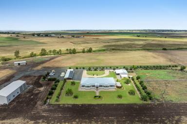 Farm For Sale - QLD - Oakey - 4401 - "Willow Glen" – Expansive Homestead, Sheds, Bores, Irrigation 0n 52 Acres -20 Minutes West Of Toowoomba  (Image 2)