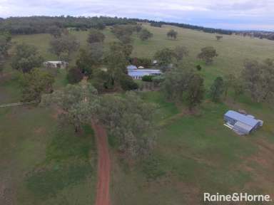 Farm For Sale - NSW - Quirindi - 2343 - EXTRAORDINARY HOME AMONGST THE GUM TREES  (Image 2)