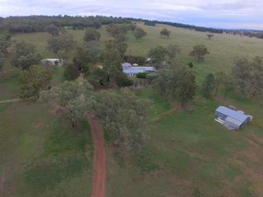 Farm For Sale - NSW - Quirindi - 2343 - EXTRAORDINARY HOME AMONGST THE GUM TREES :D  (Image 2)