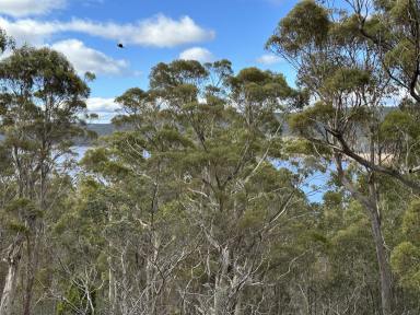 Farm For Sale - TAS - Lake Leake - 7210 - Elevated Trout Lake Block With 180 Degree Views  (Image 2)