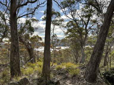 Farm For Sale - TAS - Lake Leake - 7210 - Elevated Trout Lake Block With 180 Degree Views  (Image 2)