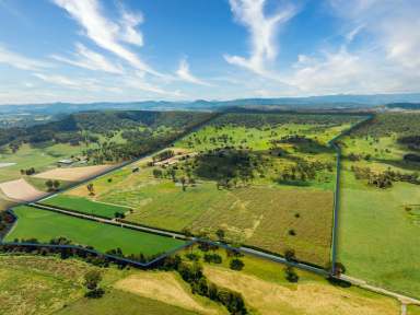 Farm For Sale - QLD - Running Creek - 4287 - 'ALLAWAH' - 363 Running Creek Rd, Running Creek  (Image 2)