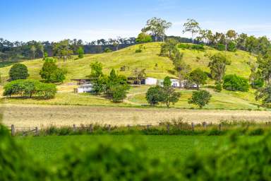 Farm For Sale - QLD - Running Creek - 4287 - 'ALLAWAH' - 363 Running Creek Rd, Running Creek  (Image 2)