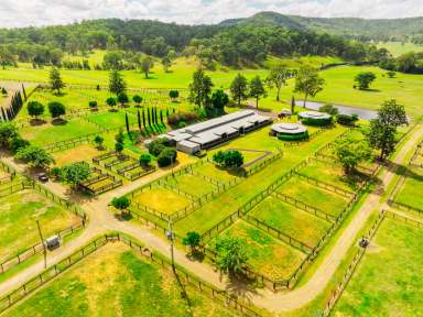 Farm For Sale - QLD - Running Creek - 4287 - Element Hill Stud  (Image 2)