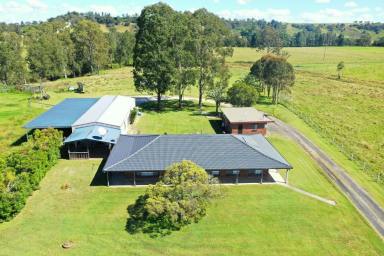 Farm For Sale - NSW - Kyogle - 2474 - CEDAR POINT  (Image 2)