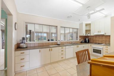 Farm For Sale - QLD - Allora - 4362 - CLASSICAL FAMILY HOME ON 80 ACRES - "ALLORA"  (Image 2)