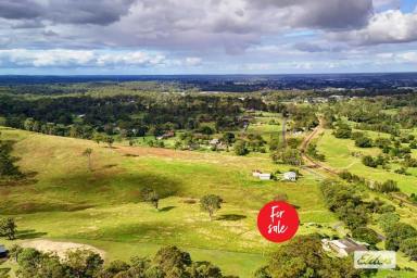 Farm For Sale - NSW - Taree - 2430 - HOME AND TEN ACRES JUST MINUTES FROM TOWN CENTRE  (Image 2)