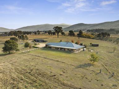 Farm For Sale - VIC - Barjarg - 3723 - "Nillalook Rise" - It starts with the view and just gets better from there!  (Image 2)