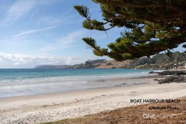 Farm Sold - TAS - Boat Harbour - 7321 - Rare Acre Block With Ocean Views!  (Image 2)