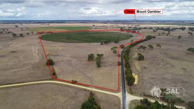 Farm For Sale - SA - Mingbool - 5291 - STRONG, HIGHLY PRODUCTIVE LAND WITH BITUMEN ROAD FRONTAGE AND SECONDARY ACCESS  (Image 2)