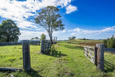 Farm Auction - NSW - Glen Martin - 2321 - 'Mahers Knob' affordable rural country.  (Image 2)