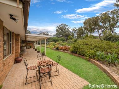 Farm For Sale - NSW - Robin Hill - 2795 - RELAXING ROBIN HILL RESIDENCE  (Image 2)