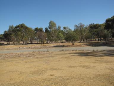 Farm For Sale - WA - Northam - 6401 - FOR SALE -  RESIDENTIAL LAND PARCEL -  FULLY SERVICED  (Image 2)