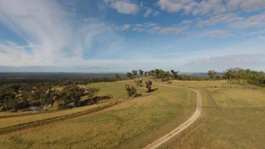 Farm For Sale - NSW - Warialda - 2402 - Beautifully Presented Property - Huge Potential for Future Subdivision  (Image 2)