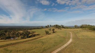 Farm For Sale - NSW - Warialda - 2402 - Huge Potential for Future Subdivision  (Image 2)