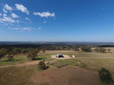 Farm For Sale - NSW - Warialda - 2402 - Huge Potential for Future Subdivision  (Image 2)