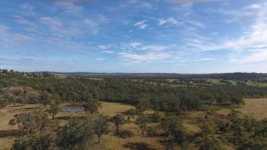 Farm For Sale - NSW - Warialda - 2402 - Huge Potential for Future Subdivision  (Image 2)