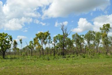 Farm For Sale - NT - Darwin River - 0841 - Kick Start your Dream Home with this New Land release in Darwin River  (Image 2)