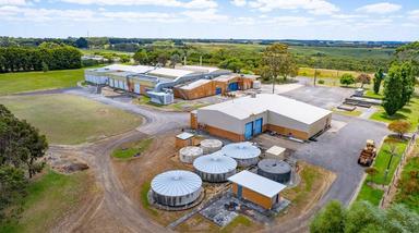 2492 Lavers Hill-Cobden Road, Simpson VIC 3266
