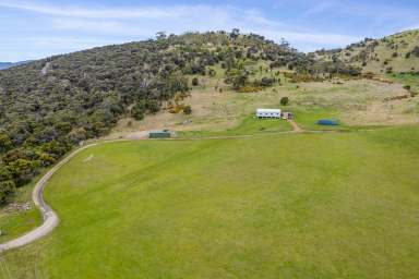 Farm For Sale - TAS - Richmond - 7025 - 70 ha Rural & 28 ha Environmental Living  (Image 2)