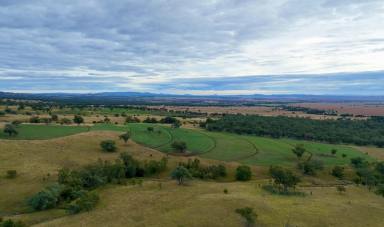 Farm For Sale - NSW - Bundella - 2343 - First Class Grazing with Stunning Improvements  (Image 2)