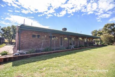 Farm For Sale - NSW - Warialda - 2402 - BEST OF BOTH WORLDS  (Image 2)