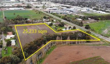 Farm For Sale - VIC - Swan Hill - 3585 - 3 Lot's - Take them all or take your pick!  (Image 2)
