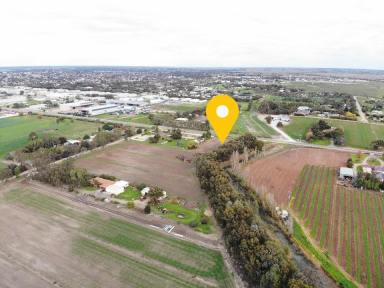 Farm For Sale - VIC - Swan Hill - 3585 - 3 Lot's - Take them all or take your pick!  (Image 2)