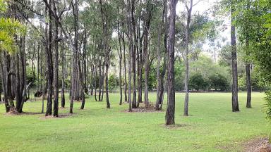 Farm For Sale - QLD - Millstream - 4888 - Private setting, with granny flat and,,,sheds.  (Image 2)