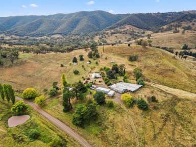 Farm For Sale - NSW - Palmers Oaky - 2795 - High Rainfall Grazing Property  (Image 2)