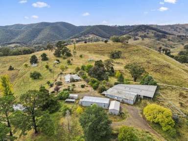 Farm For Sale - NSW - Palmers Oaky - 2795 - High Rainfall Grazing Property  (Image 2)