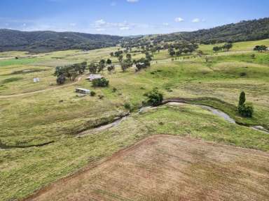 Farm Sold - NSW - Peelwood - 2583 - High Rainfall Property  (Image 2)